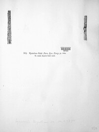 Hypoderma rubi image